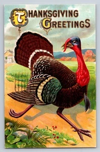 Thanksgiving Greetings Turkey Running Embossed 1910 Antique Postcard - Picture 1 of 2