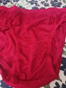  Vintage Men Briefs Bikini Size LARGE (36 inch Waist)  100% Nylon NEW - Picture 1 of 4