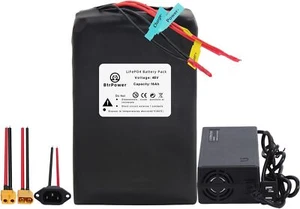 48V Ebike Battery Lithium LiFePO4 16Ah Batteries for Electric Bike Motor Scooter - Picture 1 of 9