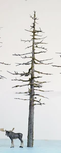SNAG or DEAD Model Fir Tree, 7" Tall, Handmade, DETAILED, HO, N O S, LOW$SHIP - Picture 1 of 5