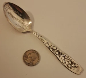 Antique Whiting BLUEBERRIES Souvenir Spoon Acid Engraved Bowl ZANESVILLE OHIO - Picture 1 of 6