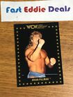 1991 Wcw Wrestling Card Flyin Brian Pillman  11 Championship Marketing