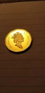 Rare Canada 2003 Crowned Queen Proof Gem Loon Dollar Coin. - Picture 1 of 2