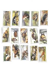 CIGARETTE CARDS. Player Tobacco. Animals of The Countryside. (Set of 50). (1939)