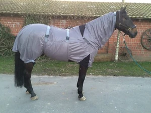 Hafer24 TOP Angebot: Ekzemerdecke Fliegendecke Weidedecke Hawai Größe 155 - Bild 1 von 1