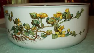 Villeroy and Boch BOTANICA 9" Salad Serving Bowl, New Condition (1883) - Picture 1 of 4