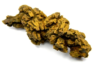 Coprolito de un fósil de tortuga gigante antiguo Madagascar 37,76 gramos - Imagen 1 de 5