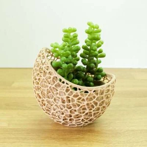 Voronoi Artistic Succulent Planter Vase - Picture 1 of 280