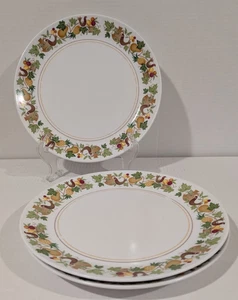 Homecoming Noritake Progression 3er Set Speiseteller 9002 10,5" Obst Vogel - Bild 1 von 10