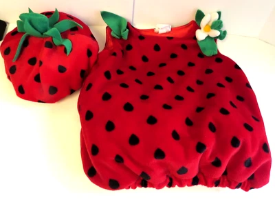 Gorra de fresa Koala para niños y disfraz acolchado para foto de jardín de fresas talla 6-9 m Foto 1 de 4