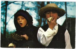 VTG Postcard - Pennsylvania Dutch Country, PA - Picture 1 of 2