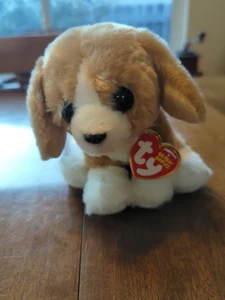 TY Beanie Baby - FRANKLIN the Dog (6 inch) - MWMTs Stuffed Animal Toy - Picture 1 of 22