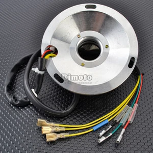 Magneto Stator Coil For Husqvarna TE510 TC510 TC500 WXE350 WXC350 TE350 - Imagen 1 de 6