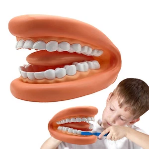 Teeth Model Educational Soft Wearable Mouth Soft Wearable Fake Teeth Model cool - Picture 1 of 7