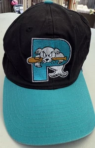Vintage Portland Sea Dogs Snapback Minor League Hat- GREEN RIM Free Shipping! - Picture 1 of 11