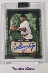 2023 Wild Card Anthony Volpe 5 Card Draw Auto Green 1/3 #5CDCL-4 - Picture 1 of 3