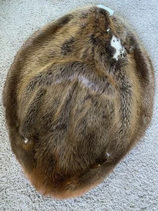 BIBER Fell butterweich gegerbt Fell Fell Blockhaus Dekor Kojote Taxidermie beschädigt - Bild 1 von 3
