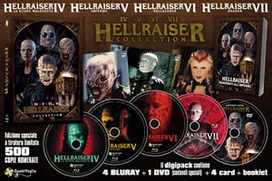 Hellraiser Collection IV-V-VI-VII - Collector's 500 copie (4 Blu-Ray Disc + DVD - Foto 1 di 1