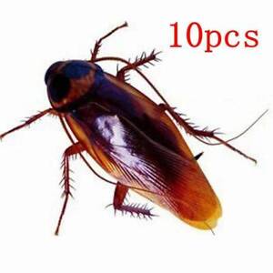 10Pack Prank Funny Magic Trick Joke Special Lifelike Fake Cockroach Roach Toy