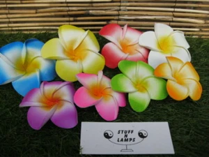 Large Frangipani Hair Clips  (White & Coloured Packs) x 8pcs - 4 x7cm & 4 x 9cm - Picture 1 of 14