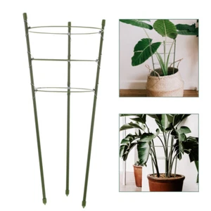3 Climbing Trellis Potted Plant Support Stakes for Garden Tomato - Picture 1 of 12