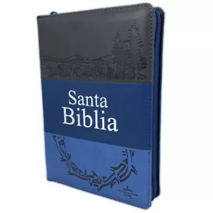 Biblia Letra Grande con Cierre Reina Valera 1960 azul y gris con indice jovenes - Imagen 1 de 3