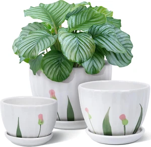 Ceramic Plant Pots with Drainage Holes and Saucer Round Flower White Floral - Picture 1 of 7
