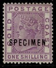 GOLD COAST QV SG18s, 1s violet, M MINT. SPECIMEN