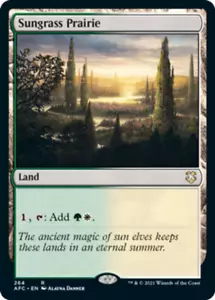 Sunggrass Prairie x4 - Commander: Adventures in the Forgotten Realms - NM-Mint, E - Bild 1 von 1