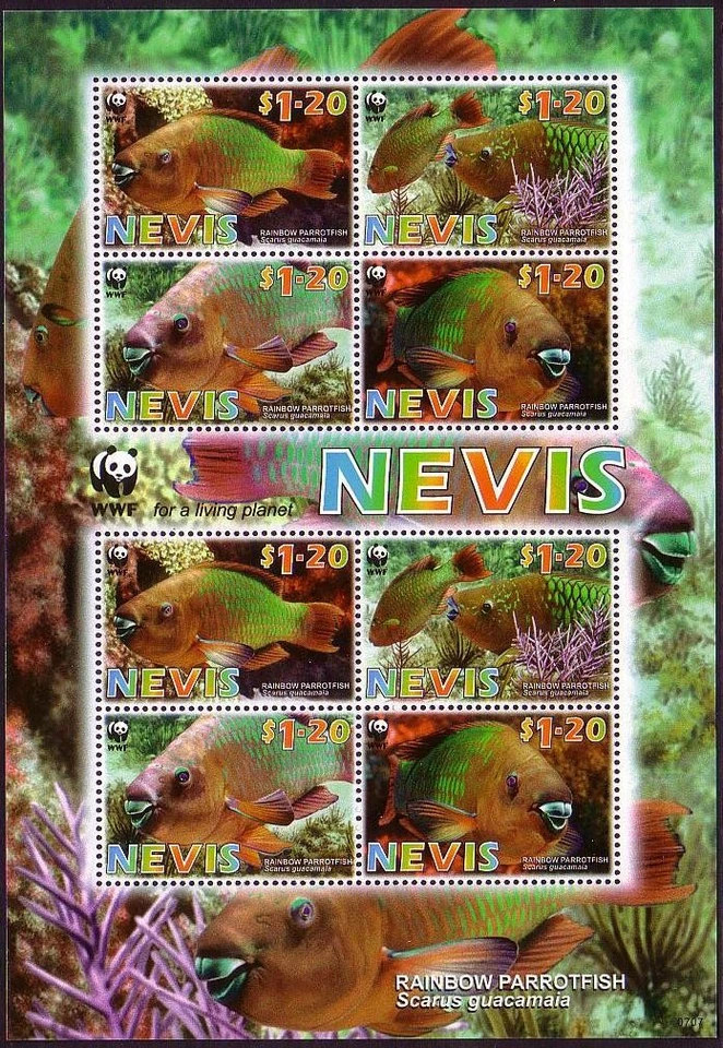 Nevis WWF Rainbow Parrotfish MS 2007 MNH SG#MS2019 MI#2208-2211 Sc#1510a-d - Image 1 of 1