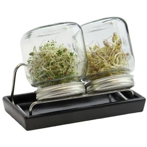 Sprossenglas System II Eschenfelder 2x750ml Set Keimglas Abtropfschale anthrazit - Imagen 1 de 1