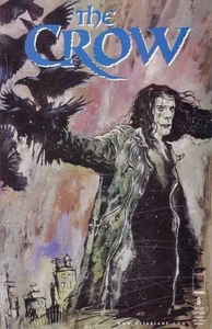 The Crow #8 - Picture 1 of 1