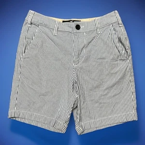 Hollister Men’s Size 28 Epic Flex Classic Fit Blue Striped Shorts 28x7 - Picture 1 of 5