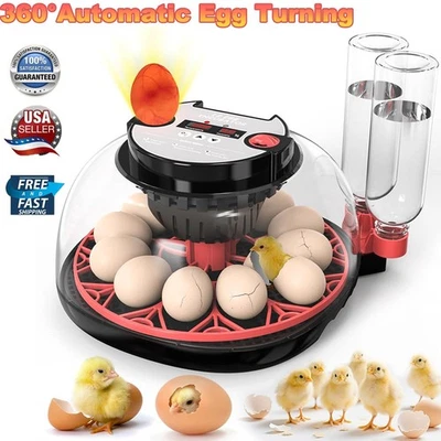 Incubadoras para incubar huevos, incubadora de 12 huevos con giro automático de huevos y Foto 1 de 4