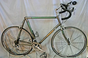 1999 Trek Touring Road Bike 61cm X-Large Shimano RSX Brifters Fast USA Shipper - Picture 1 of 19