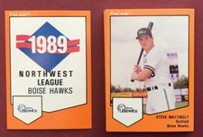 1989 BOISE HAWKS  PROCARDS MINOR LEAGUE TEAM SET  INDEPENDENT TEAM