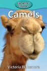 Victoria Blakemore Camels (Paperback) Elementary Explorers (US IMPORT)