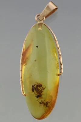 Genuino ÁMBAR BÁLTICO ORO 14K Colgante Enjambre de 6 MOSQUITOS HONGOS 3g 191126-14 Foto 1 de 4