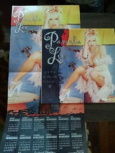 Vintage Pamela Anderson Lee 16 Month Calendar 1998 With Bonus Poster - Picture 1 of 12