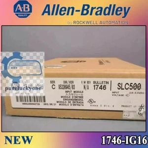 Nuevo módulo de entrada Allen Bradley 1746-IG16 AB SLC500 1746-IG16 envío gratuito - Imagen 1 de 7