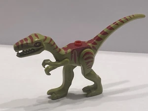 LEGO Dinosaur Coelophysis Gallimimus Dark Red Stripes 98166pb02 Set 5887 - Picture 1 of 1