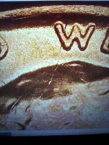 1972 D Lincoln Penny Cent Interior Skull Die Crack Error BU Red Condition #1 - Picture 1 of 3
