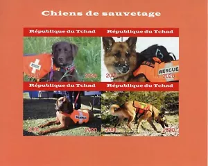 Chad Dogs Stamps 2020 MNH Rescue Dog Alsatian German Shepherd 4v IMPF M/S - Picture 1 of 1