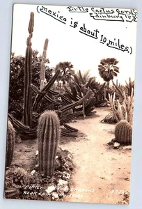 Pirtle Cactus Gardens near Edinburg Texas Real Photo Postcard D339 - Picture 1 of 2