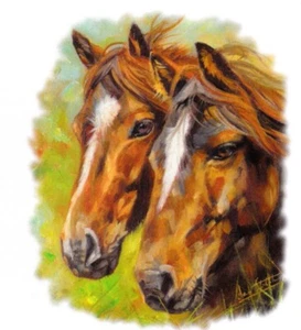 TEE SHIRT Haute Qualité CHEVAUX / HORSE .  S  M  L  XL  XXL  XXXL. XXXXL + ENF  - Picture 1 of 1