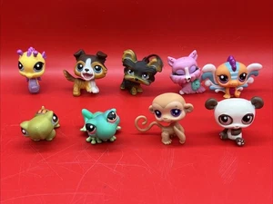 Littlest Pet Shop Hasbro LPS 9er-Set PANDABÄR HUND SCHILDKRÖTE SEEPFERDCHEN FROSCH AFFE - Bild 1 von 20