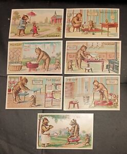 Lot Of 7 - Vintage Embossed Bear Postcards - Antique Replicas Unused