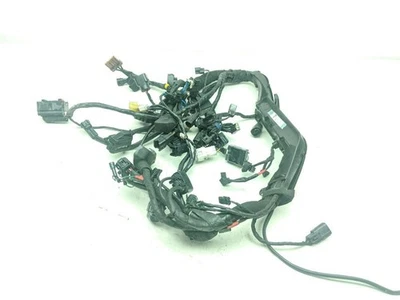 Telar arnés de cableado principal Triumph Street Twin 18 Foto 1 de 4