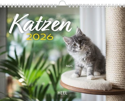 Kalender Katzen 2026 Eintragkalender - Bild 1 von 4