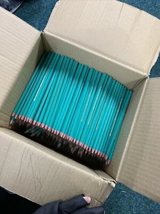 Lápices de grafito BIC Evolution originales HB - Caja de 600 - Imagen 1 de 6